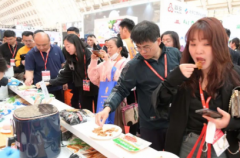 2024�ڶ�ʮ�����й��������๤ҵչ����