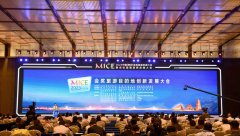 2023�й�(����)�ά���η�չ�����Ļ