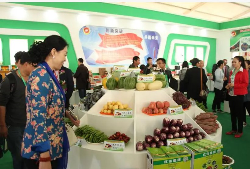 ������������ݴ���100���ָ�ԭ�л���ɫ��Ʒ��������չ����