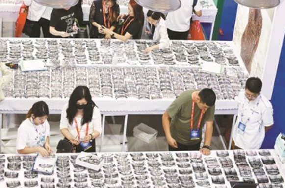 ��34���й������۾�ҵչ���������Ļ