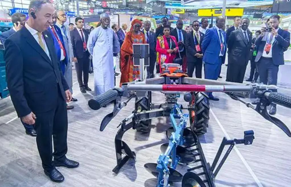 ��������Ϊ����ʡ(��)������Ľ��зǲ�����