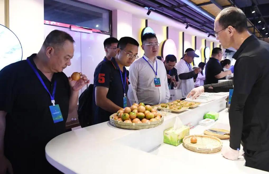 ���߽��й���ʳ���״���̽��ֻ᳡���̽�������˲�ҵ�����ῪĻ