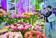 �ڶ�ʮ�����й��������ʻ���չ��2025���Ϲ��ʿ���չ�����ٰ�