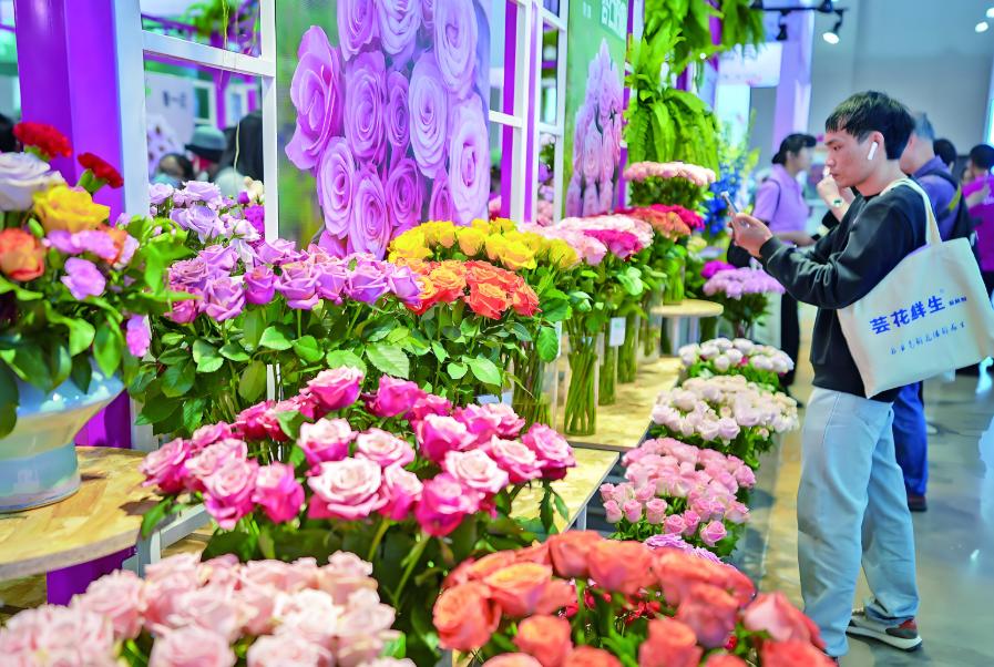 �ڶ�ʮ�����й��������ʻ���չ��2025���Ϲ��ʿ���չ�����ٰ�