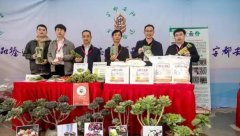 2025���й�ũ����ս����׽조�ֶ�������ʳƷ��ѡ��������ٰ�