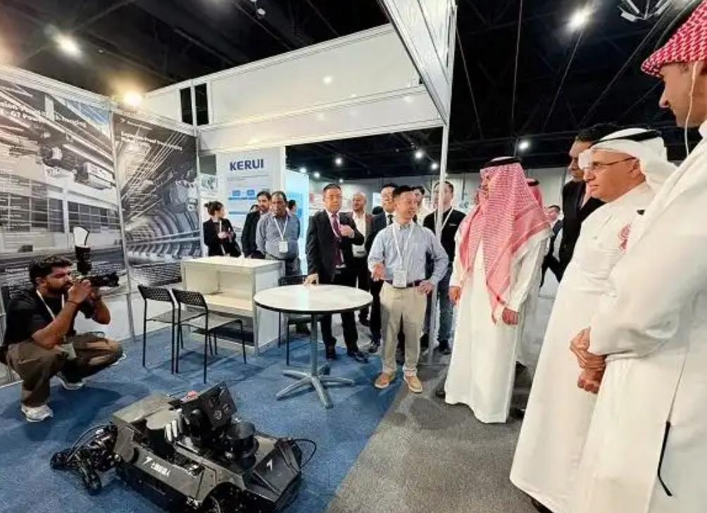 ���ڻ���������ɳ��չ��