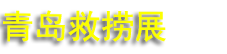 2026�ھŽ����Ǳˮ�����뺣�󹤳�װ��չ����