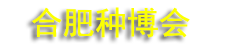 2026��ʮ�˽��й��Ϸʹ�����ҵ������