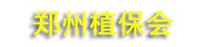 2026��31�����ֲ����Ϣ������ũҩ(е)���׻�