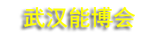 2026�������ô�(�人)�ۺ���Դ��ҵ������