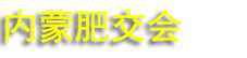 2026�ڶ�ʮ�߽����ɹŷ�����Ϣ�����߲�Ʒ���׻�