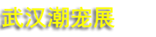 2026����չ���人վ