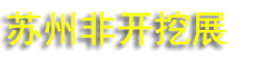 2027����ʮ���й����ʷǿ��ڼ������ֻ���չ����