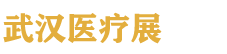 2027��42���й��人����ҽ����еչ����